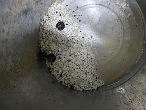 궁동 하수구막힘 직접 확인한 정화조 펌핑 판단 기준